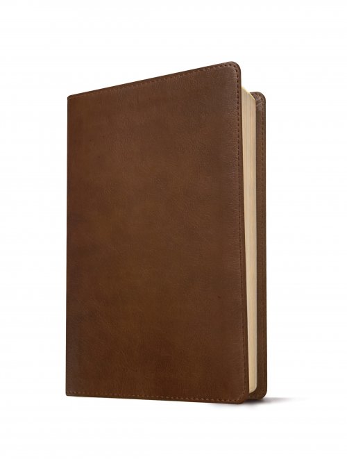 NLT Thinline Reference Bible, Filament Enabled (LeatherLike, Rustic Brown)