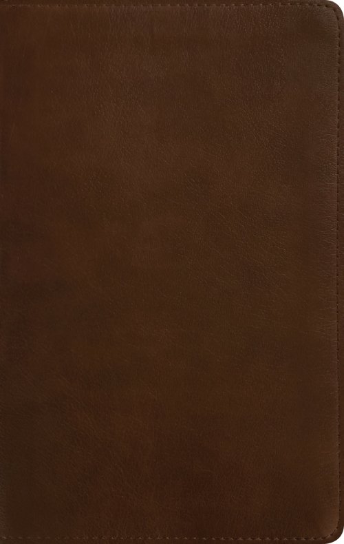 NLT Thinline Reference Bible, Filament Enabled (LeatherLike, Rustic Brown)