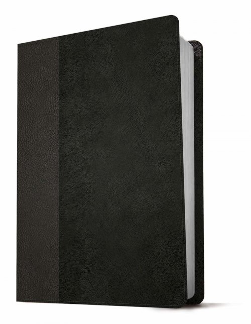 NLT Personal Size Giant Print Bible, Filament Enabled (LeatherLike, Black/Onyx, Red Letter)