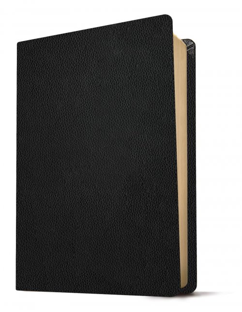 NLT Personal Size Giant Print Bible, Black, Indexed, Genuine Leather, Filament Enabled Edition