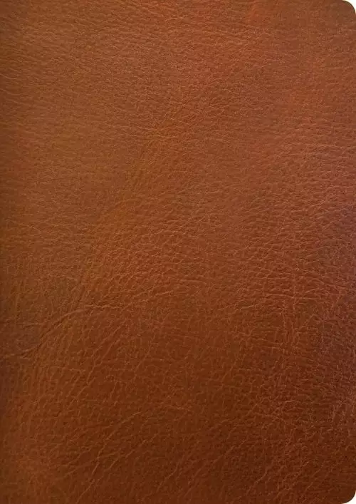 NLT Life Application Study Bible, Third Edition, Large Print (Genuine Leather, Brown, Indexed, Red Letter)