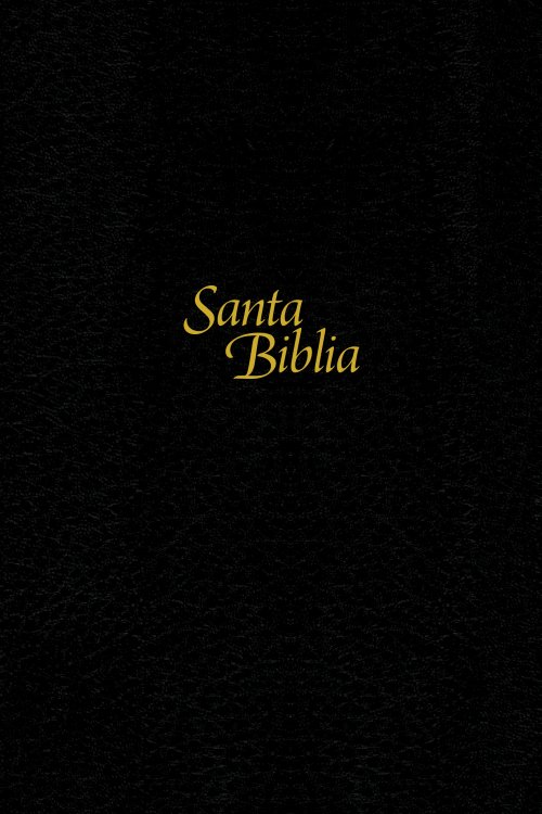 Santa Biblia NTV, Edición personal, letra grande (Tapa dura de SentiPiel, Negro, Letra Roja)