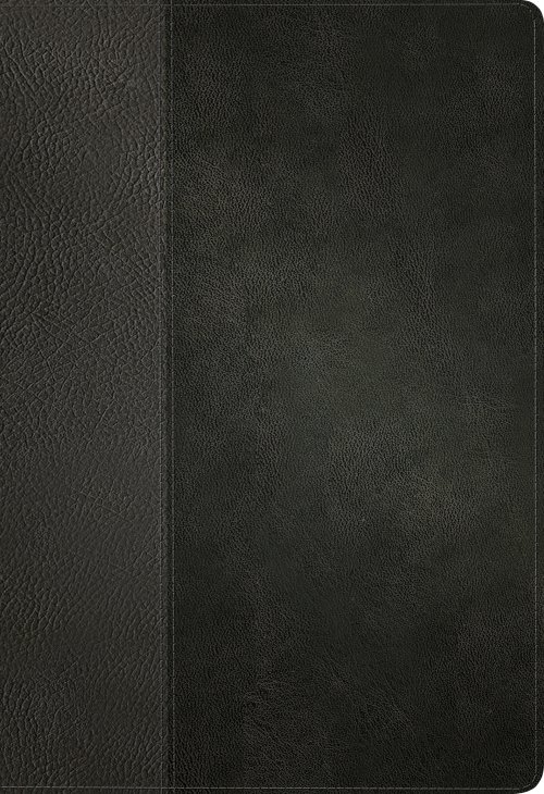 KJV Large Print Thinline Reference Bible, Filament Enabled (LeatherLike, Black/Onyx, Red Letter)