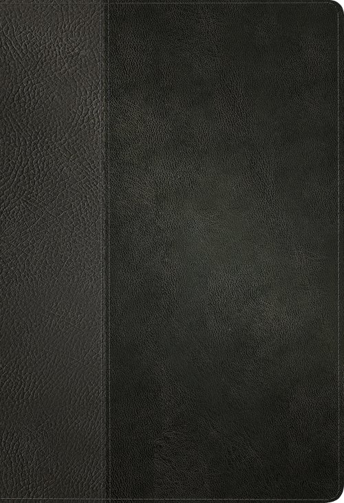 KJV Large Print Thinline Reference Bible, Filament Enabled (LeatherLike, Black/Onyx, Indexed, Red Letter)