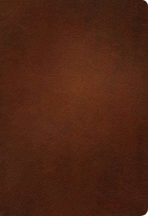 KJV Large Print Thinline Reference Bible, Filament Enabled (Genuine Leather, Brown, Indexed, Red Letter)