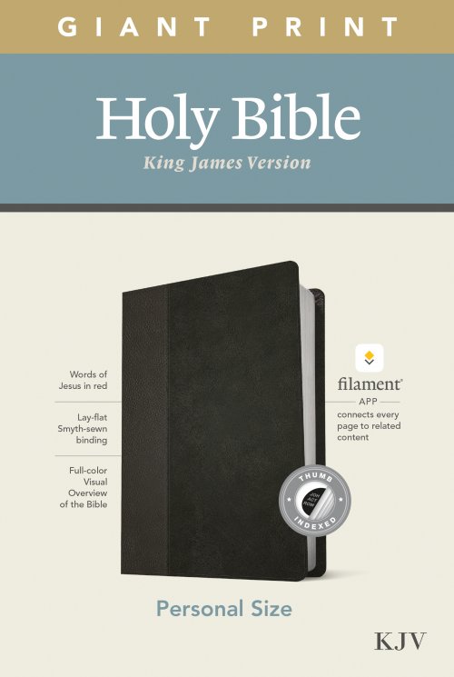 KJV Personal Size Giant Print Bible, Filament Enabled (LeatherLike, Black/Onyx, Indexed, Red Letter)