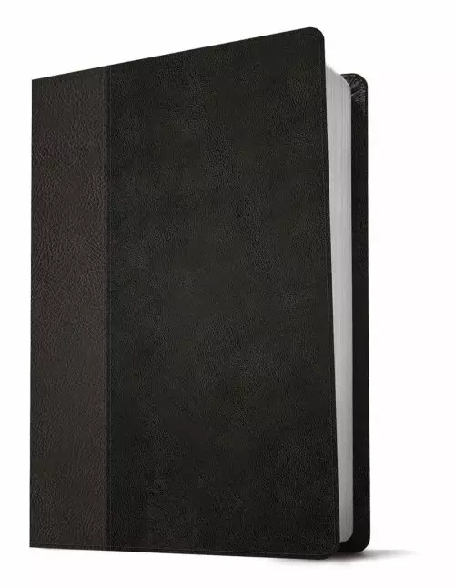 KJV Personal Size Giant Print Bible, Filament-Enabled Edition (LeatherLike, Black/Onyx, Indexed, Red Letter)