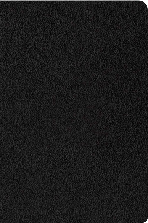 KJV Personal Size Giant Print Bible, Filament Enabled (Genuine Leather, Black, Red Letter)