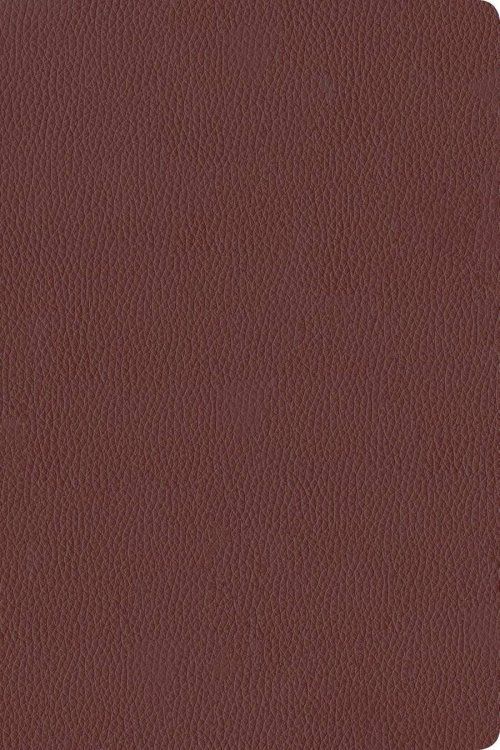 KJV Personal Size Giant Print Bible, Filament Enabled (Genuine Leather, Burgundy, Red Letter)