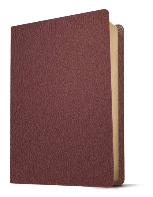 KJV Personal Size Giant Print Bible, Filament Enabled (Genuine Leather, Burgundy, Red Letter)