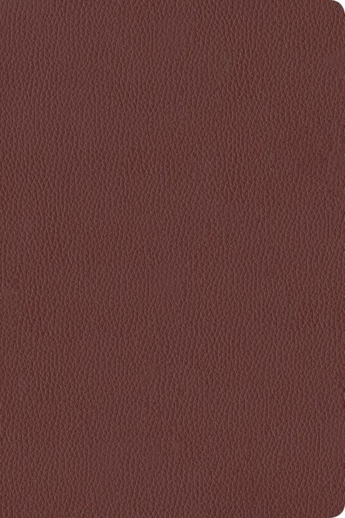 KJV Personal Size Giant Print Bible, Filament Enabled (Genuine Leather, Burgundy, Indexed, Red Letter)