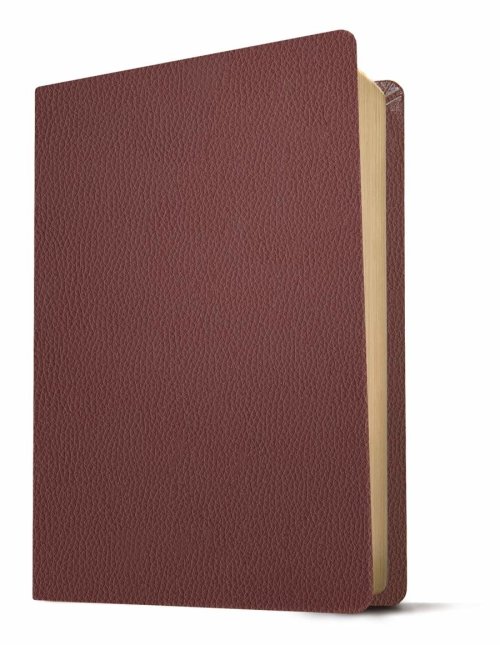 KJV Personal Size Giant Print Bible, Filament Enabled (Genuine Leather, Burgundy, Indexed, Red Letter)