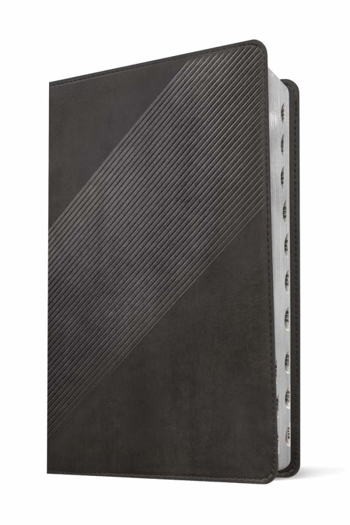 NLT Student Life Application Study Bible, Filament Enabled (LeatherLike, Charcoal Gray Striped, Indexed, Red Letter)