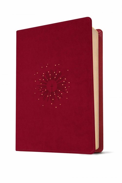 NLT Filament Study Bible, Cranberry, Imitation Leather, Red Letter, Giant Print, Personal Size, App Content, Gilt Edge, Ribbon Marker, Study Material, Devotional Material, Maps