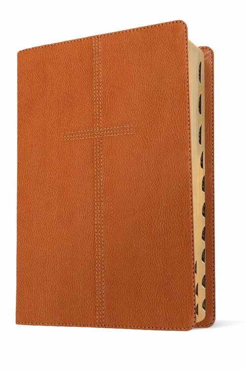 Every Man's Bible NIV, Large Print (LeatherLike, Cross Saddle Tan, Indexed)