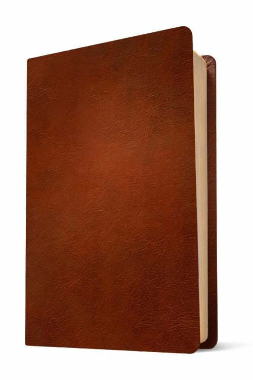 NLT Thinline Reference Bible, Filament Enabled (Genuine Leather, Brown, Red Letter)