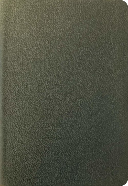 NLT Thinline Reference Bible, Filament Enabled (Genuine Leather, Olive Green, Red Letter)