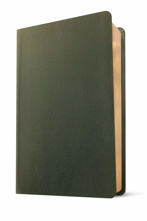 NLT Thinline Reference Bible, Filament Enabled (Genuine Leather, Olive Green, Red Letter)