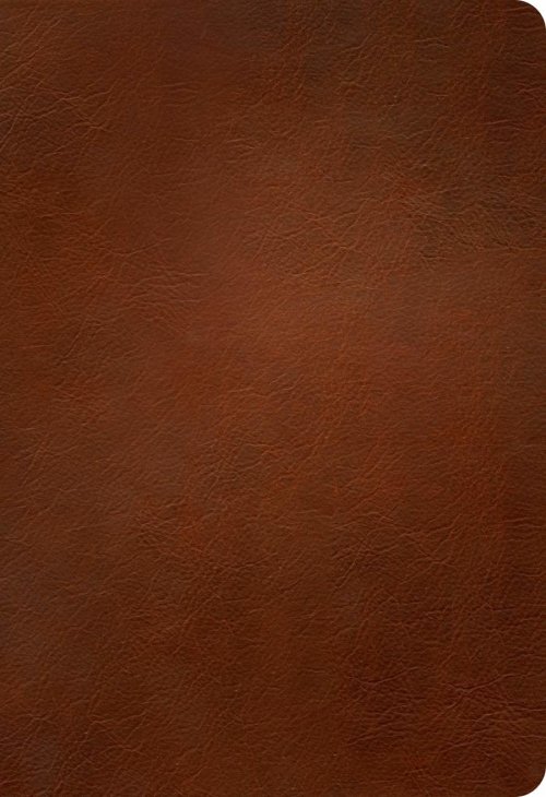 NLT Large Print Thinline Reference Bible, Filament Enabled (Genuine Leather, Brown, Red Letter)