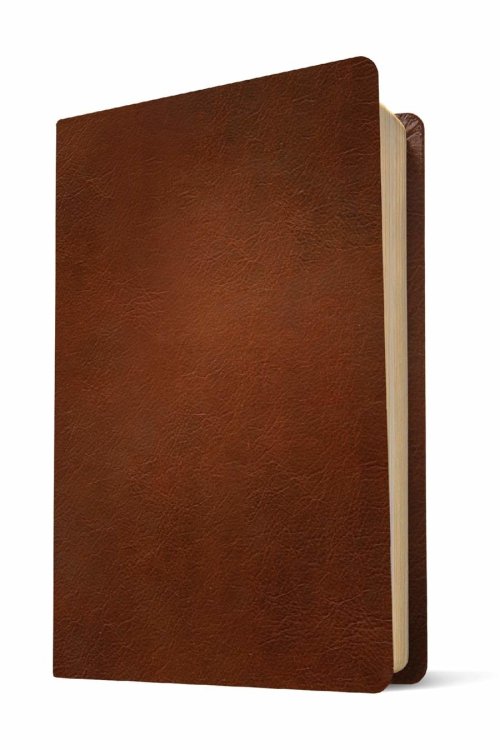 NLT Large Print Thinline Reference Bible, Filament Enabled (Genuine Leather, Brown, Red Letter)