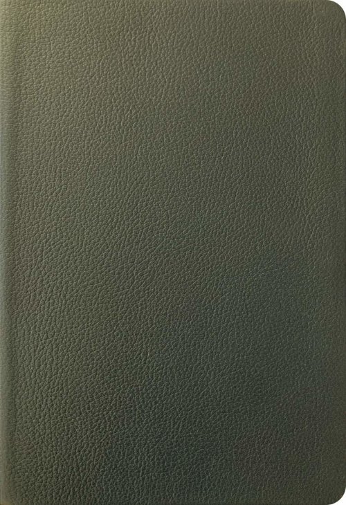 NLT Large Print Thinline Reference Bible, Filament Enabled (Genuine Leather, Olive Green, Red Letter)