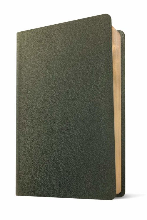 NLT Large Print Thinline Reference Bible, Filament Enabled (Genuine Leather, Olive Green, Red Letter)