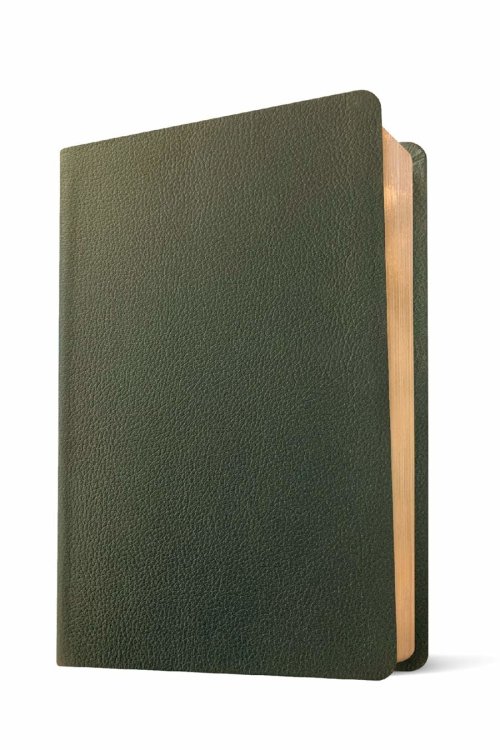 NLT Personal Size Giant Print Bible, Filament Enabled (Genuine Leather, Olive Green, Red Letter)