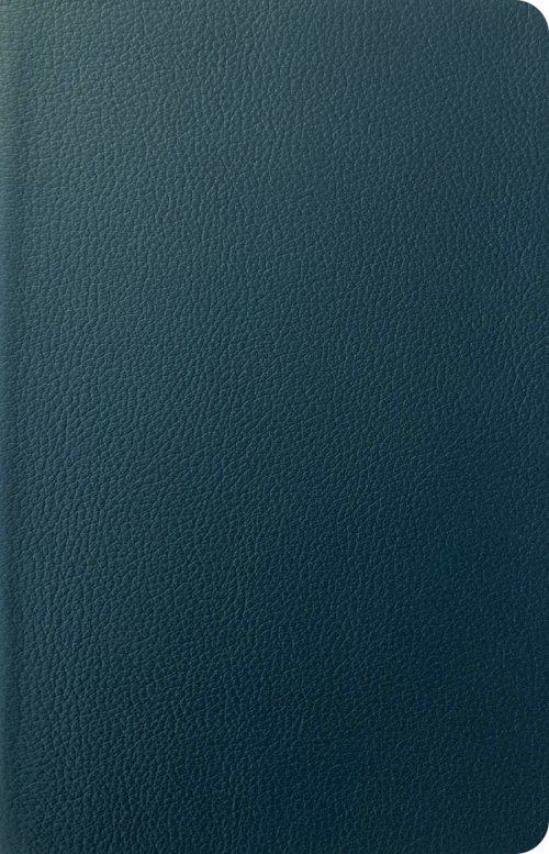 NLT Personal Size Giant Print Bible, Filament Enabled (Genuine Leather, Navy Blue, Red Letter)