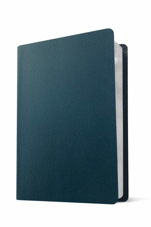 NLT Personal Size Giant Print Bible, Filament Enabled (Genuine Leather, Navy Blue, Red Letter)