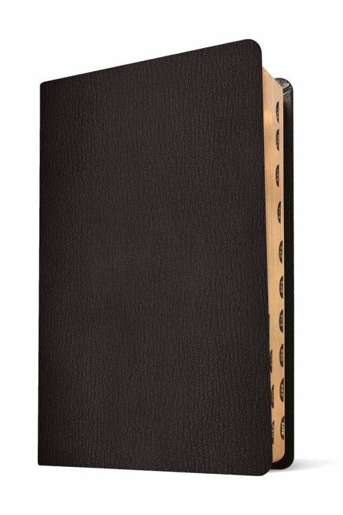 NLT Super Giant Print Bible, Filament Enabled (Genuine Leather, Black, Indexed, Red Letter)