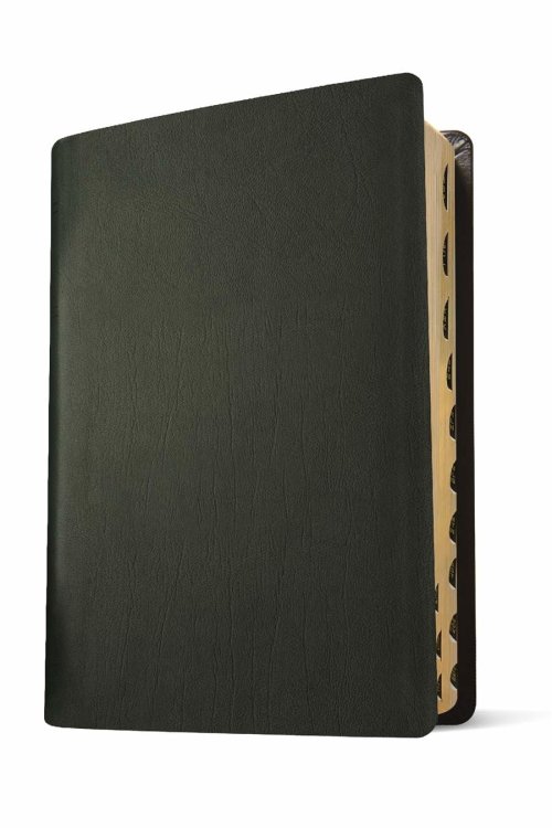 KJV Life Application Study Bible, Third Edition (Genuine Leather, Black, Indexed, Red Letter)