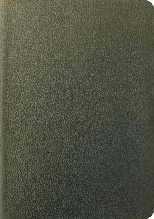 NLT Life Application Study Bible, Third Edition (Genuine Leather, Olive Green, Red Letter)