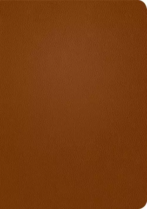 NLT Life Application Study Bible, Third Edition (Genuine Leather, Brown, Red Letter)