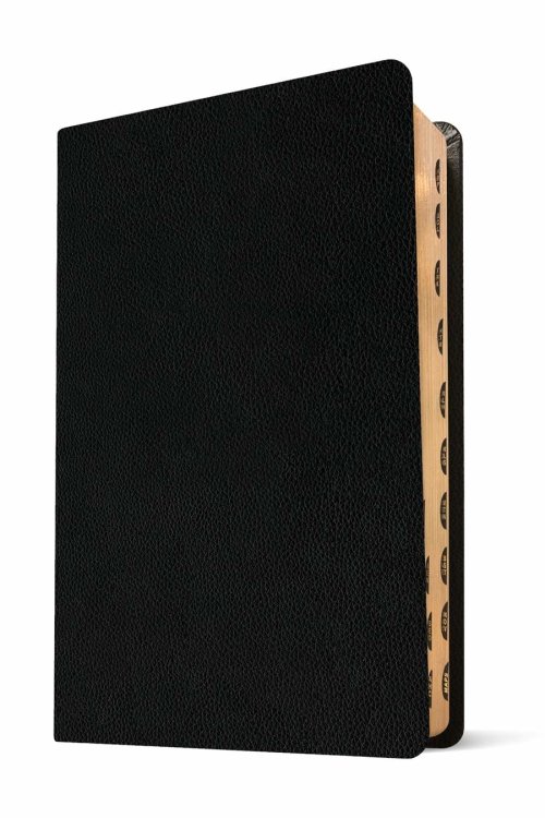 NLT Thinline Center-Column Reference Bible, Filament Enabled (Genuine Leather, Black, Indexed, Red Letter)