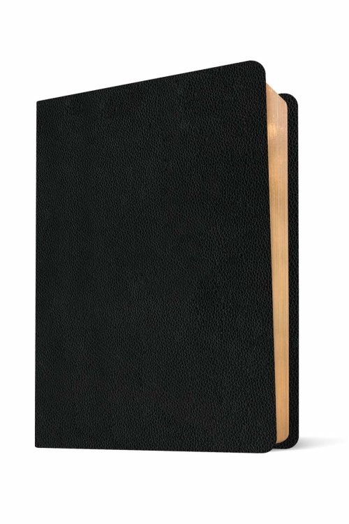 KJV Wide Margin Bible, Filament Enabled (Genuine Leather, Black, Red Letter)