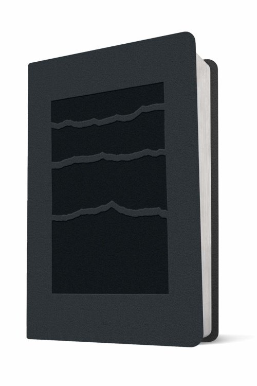 NLT Premium Value Compact Bible, Filament Enabled (LeatherLike, Black Mountainscape)