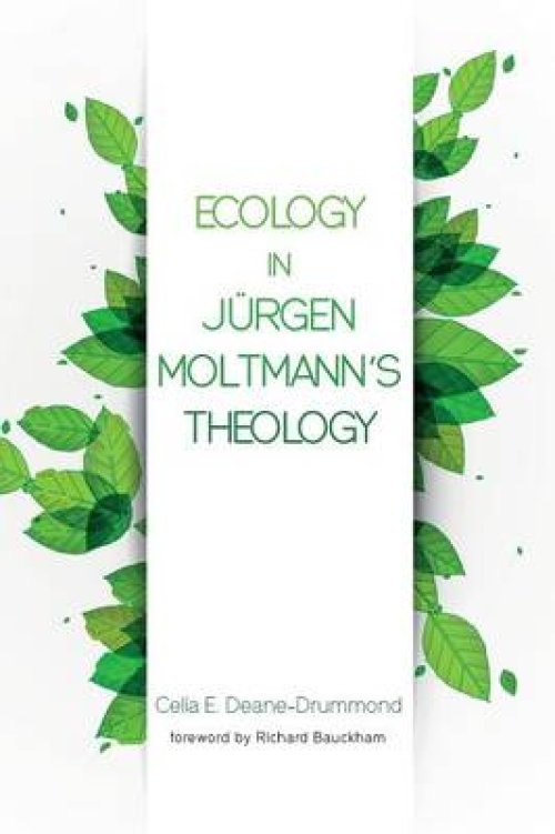 Ecology in Jurgen Moltmann's Theology