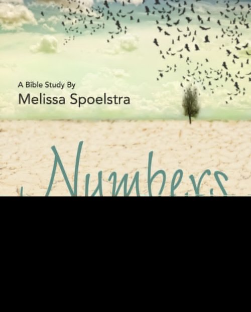 Numbers - Women's Bible Study Leader Guide