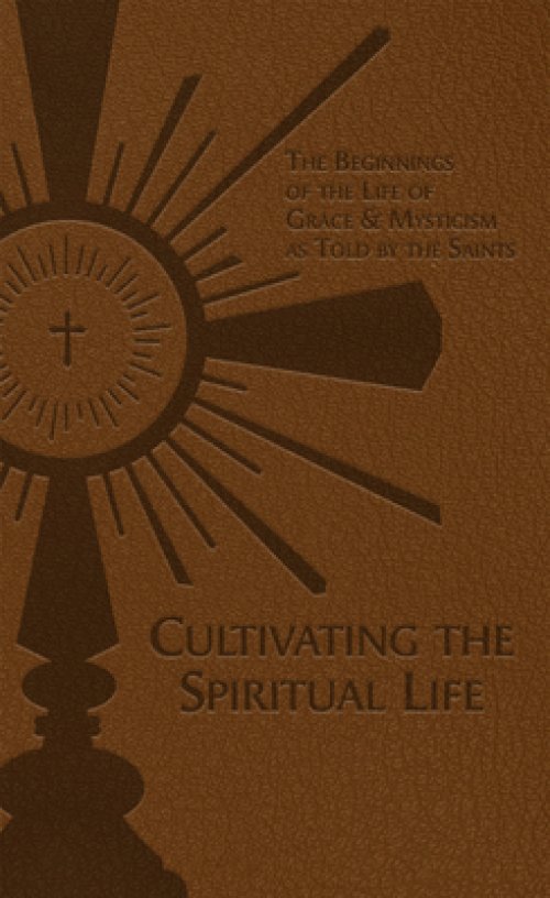 Cultivating the Spiritual Life: The Beginnings of the Life of Grace & Mysticism as Told by the Saints