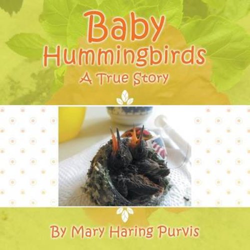 Baby Hummingbirds: A True Story