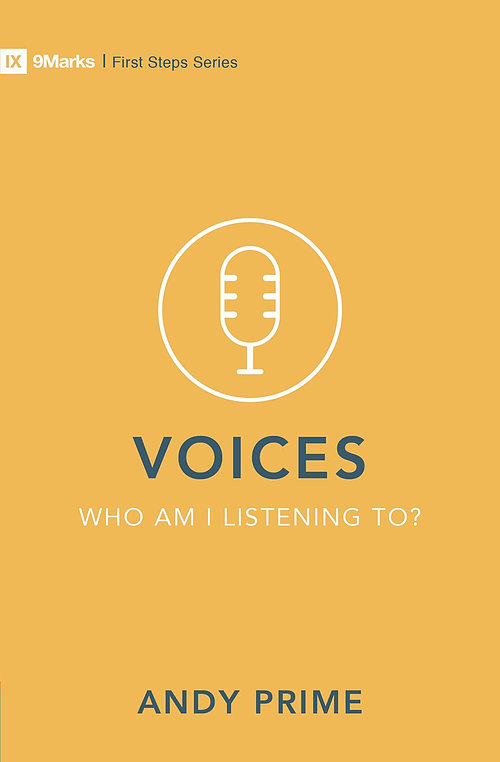 Voices - Who Am I Listening To?