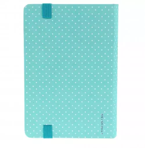 NIV Pocket Mint Polka-Dot Notebook Bible, Light Blue, Hardcover, Shortcuts, Reading plan, Timeline, Book by Book Overview