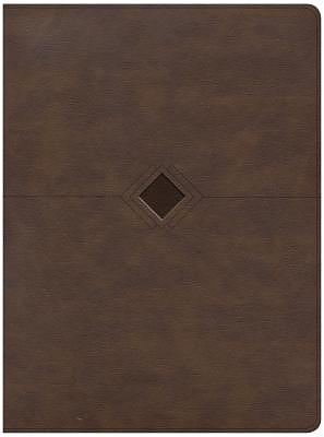 CSB Day-by-Day Chronological Bible, Brown LeatherTouch