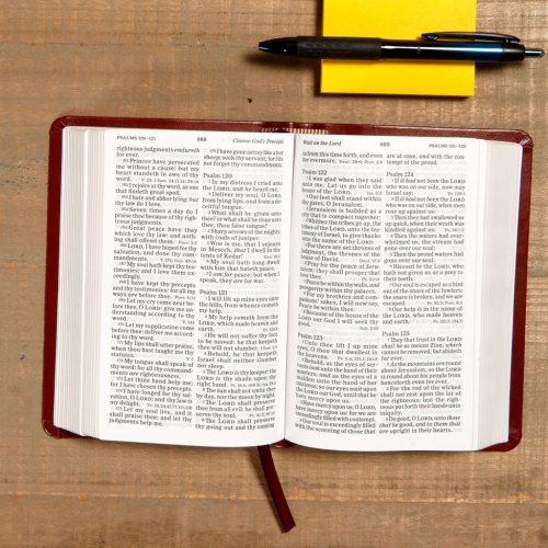 KJV Large Print Compact Reference Bible, Brown LeatherTouch