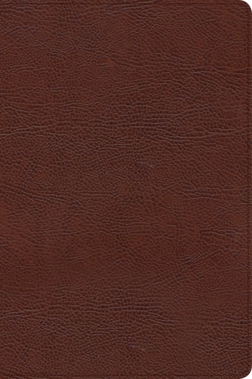 CSB Verse-by-Verse Reference Bible, Brown Bonded Leather