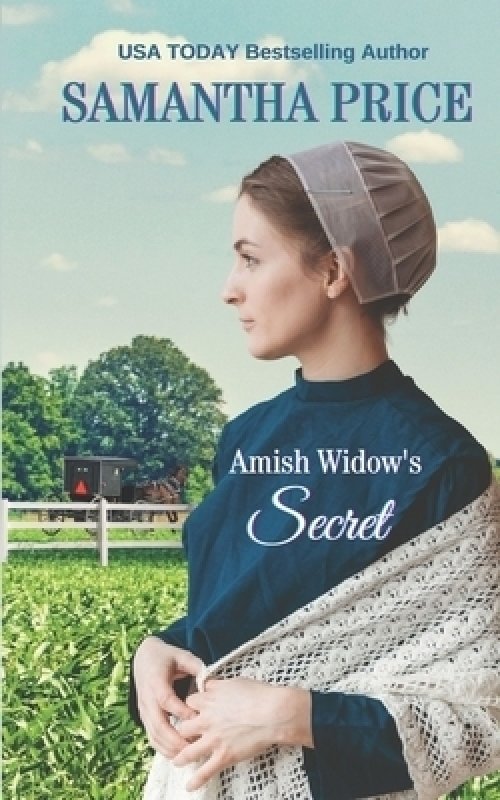 Amish Widow's Secret