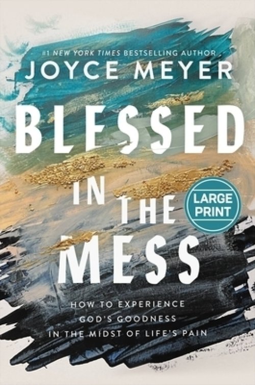 Blessed in the Mess: How to Experience God's Goodness in the Midst of Life's Pain