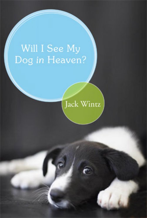 Will I See My Dog in Heaven?