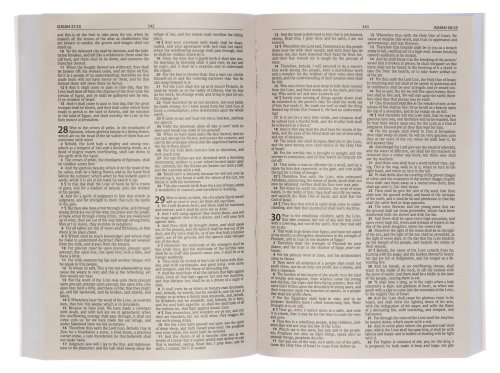 KJV Economy Bible, Blue, Paperback