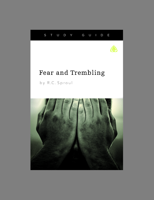 Fear and Trembling, Teaching Series Study Guide